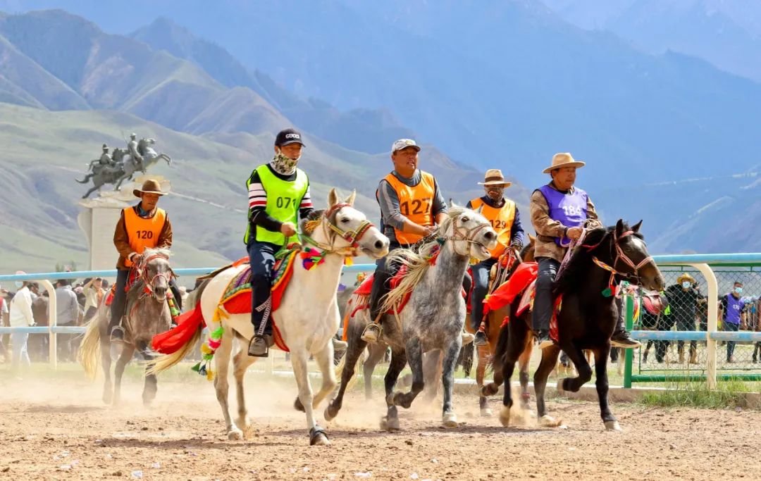 ↑2022年9月8日，2022中国丝路大赛马——甘肃省张掖市肃南裕固族自治县“石榴杯”赛马会在肃南县索朗格赛马场拉开帷幕。这是骑手在走马1000米比赛中。