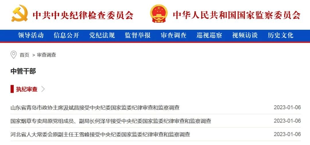 中央纪委国家监委网站截图