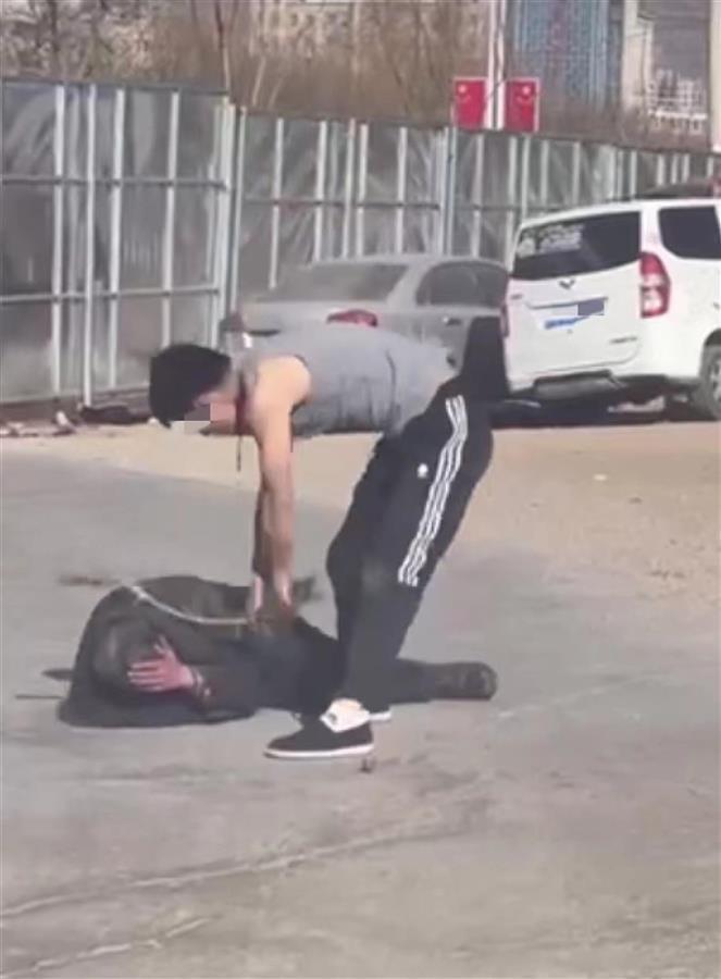 男子用树枝抽打老人(视频截图)