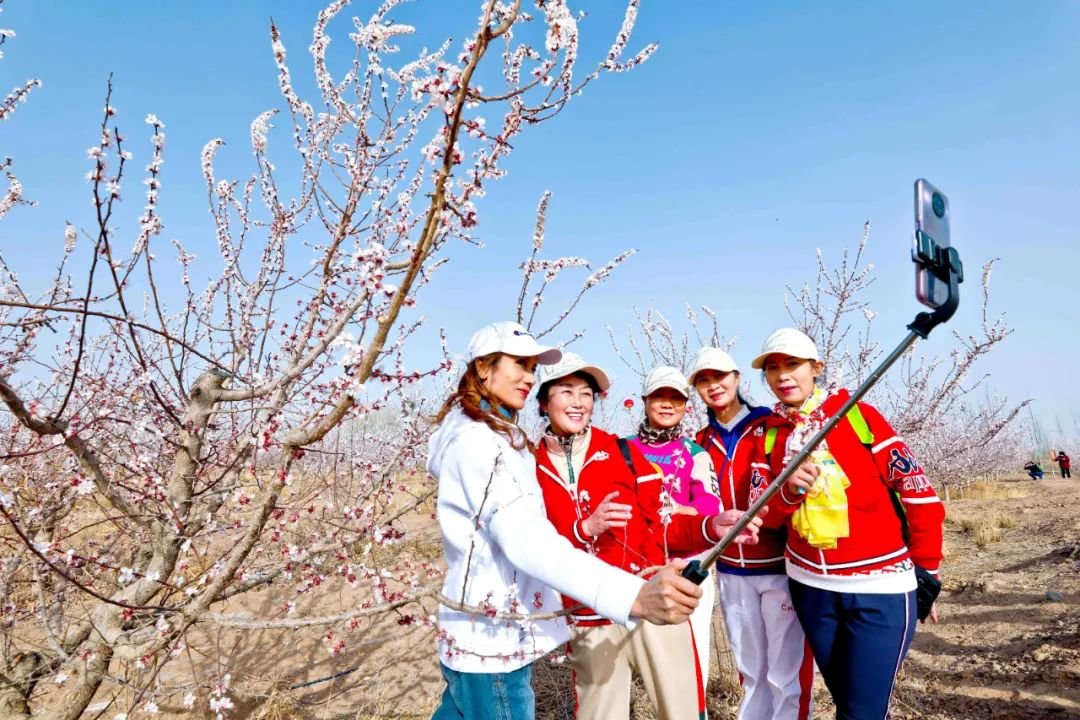 ↑2022年4月9日，游客在甘肃省张掖市甘州区金满园千亩杏园种植基赏花。当日，甘肃省张掖市甘州区金满园杏花节及乡村旅游拉开帷幕，吸引了众多市民和游客前来观赏。