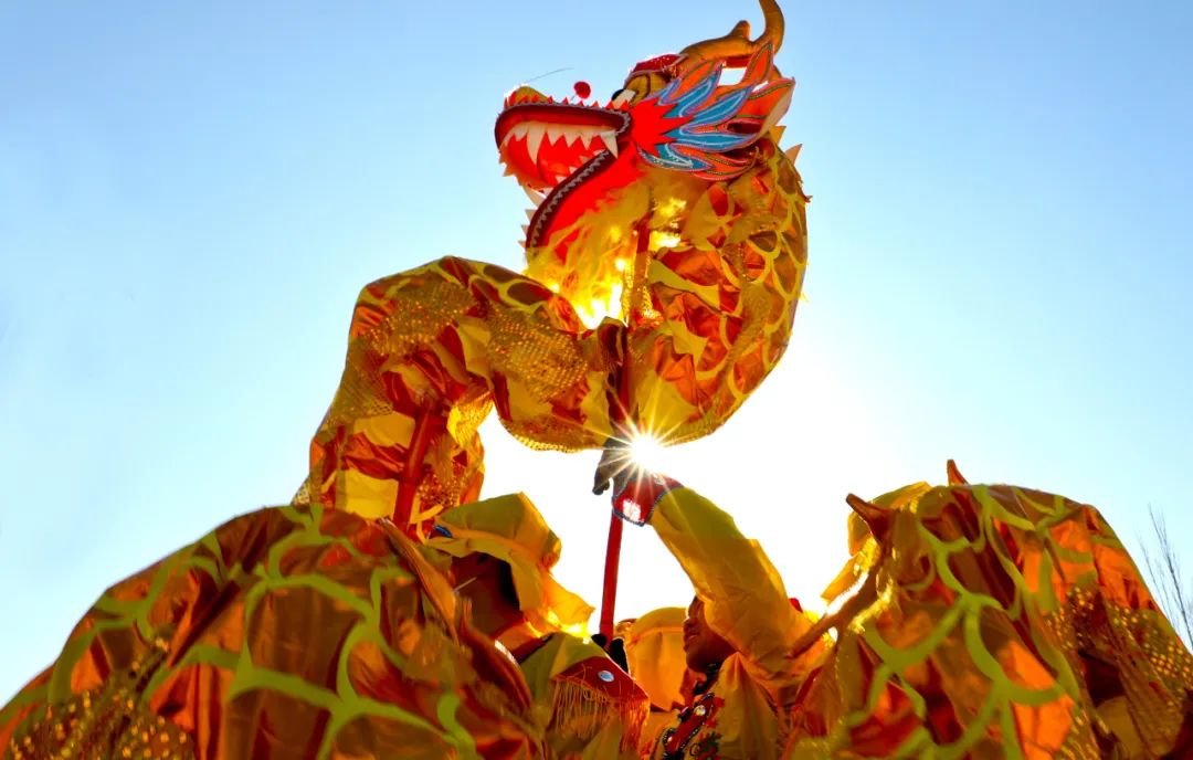 ↑春节临近，甘肃省张掖市临泽县板桥镇壕洼村社火表演队队员们加紧排练舞龙、舞狮、大秧歌、威风锣鼓等传统民俗文化社火。