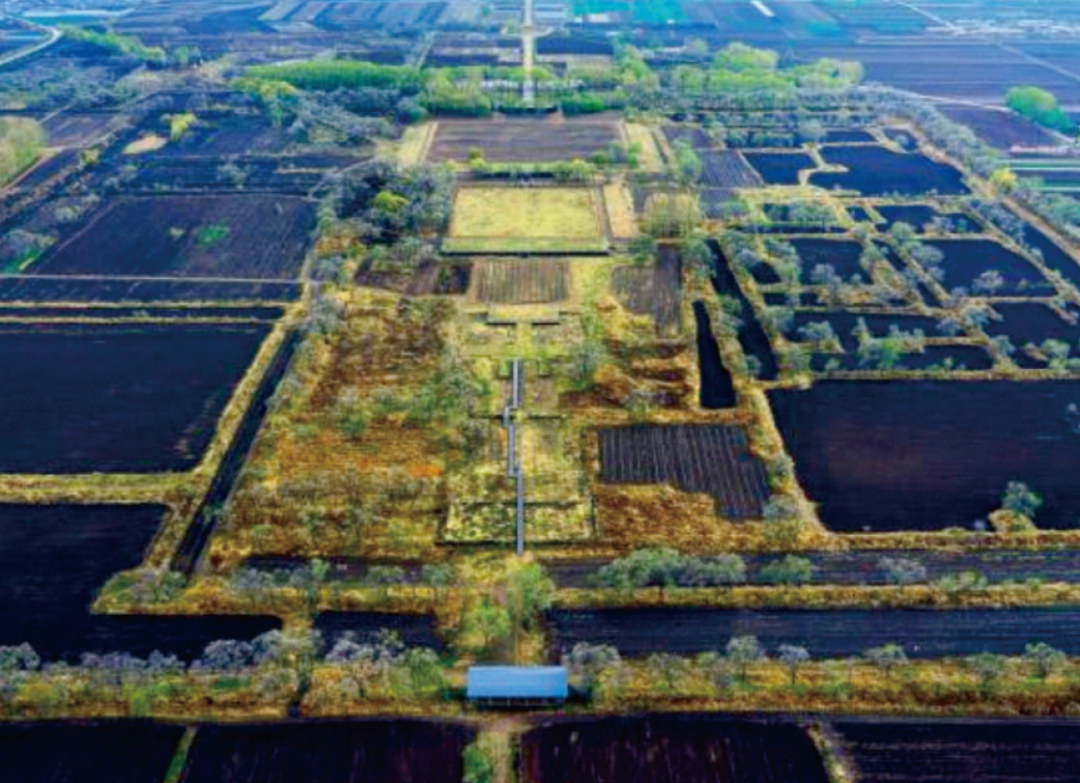 唐渤海国上京城俯瞰图（来源：《中国国家地理》2016年09期）
