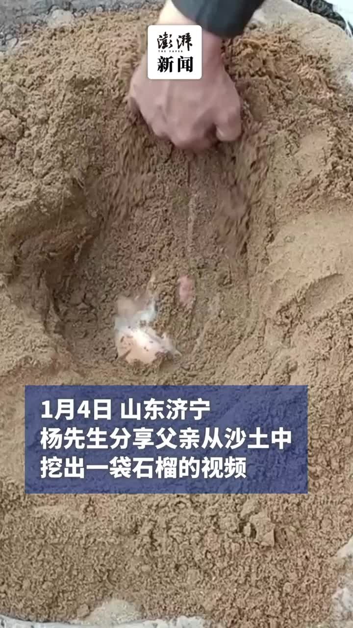 父亲将石榴埋进沙地，儿子：保鲜留给我们，埋了4个月 凤凰网视频 凤凰网