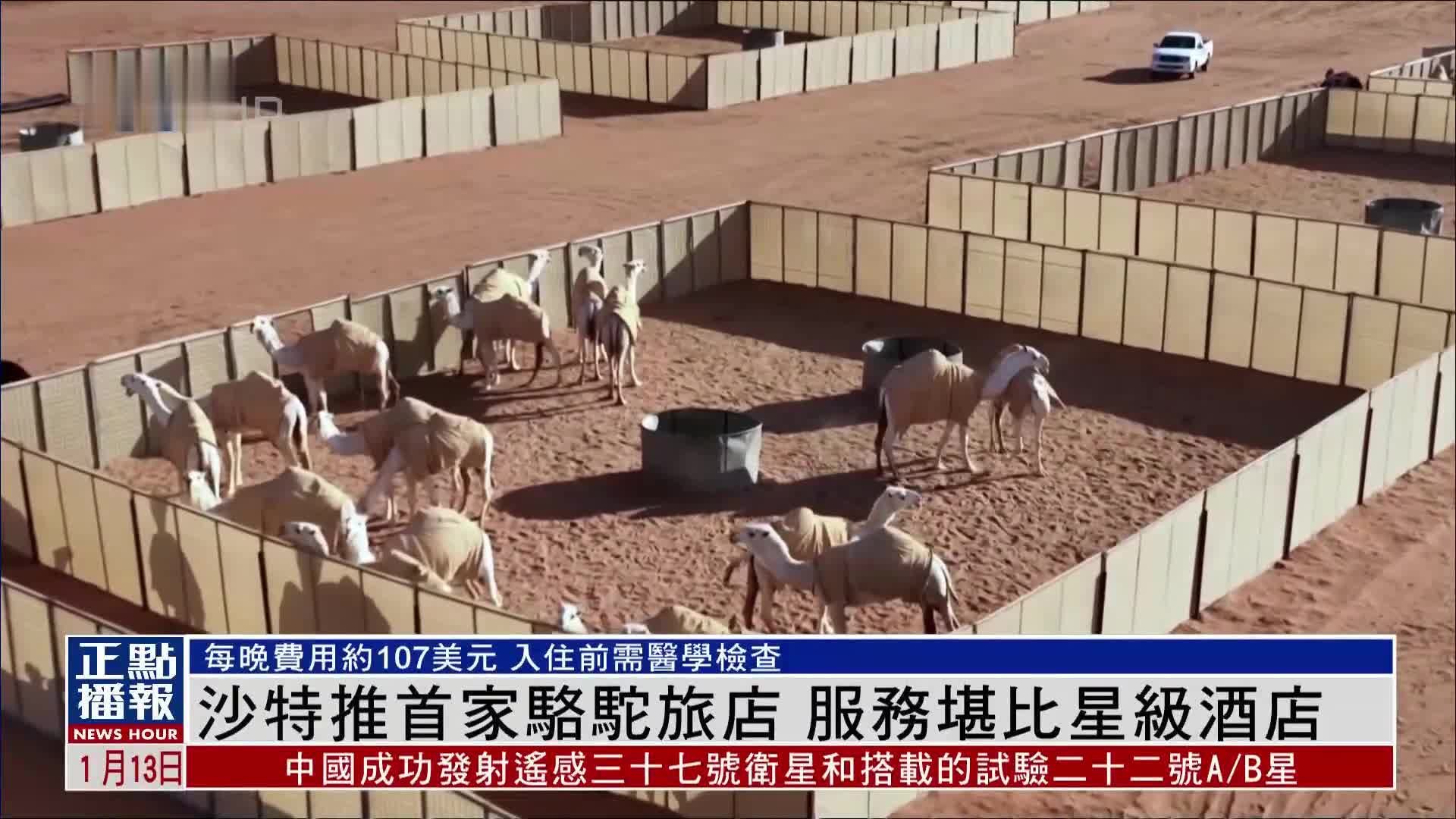 沙特推首家骆驼旅店 服务堪比星级酒店_凤凰网视频_凤凰网