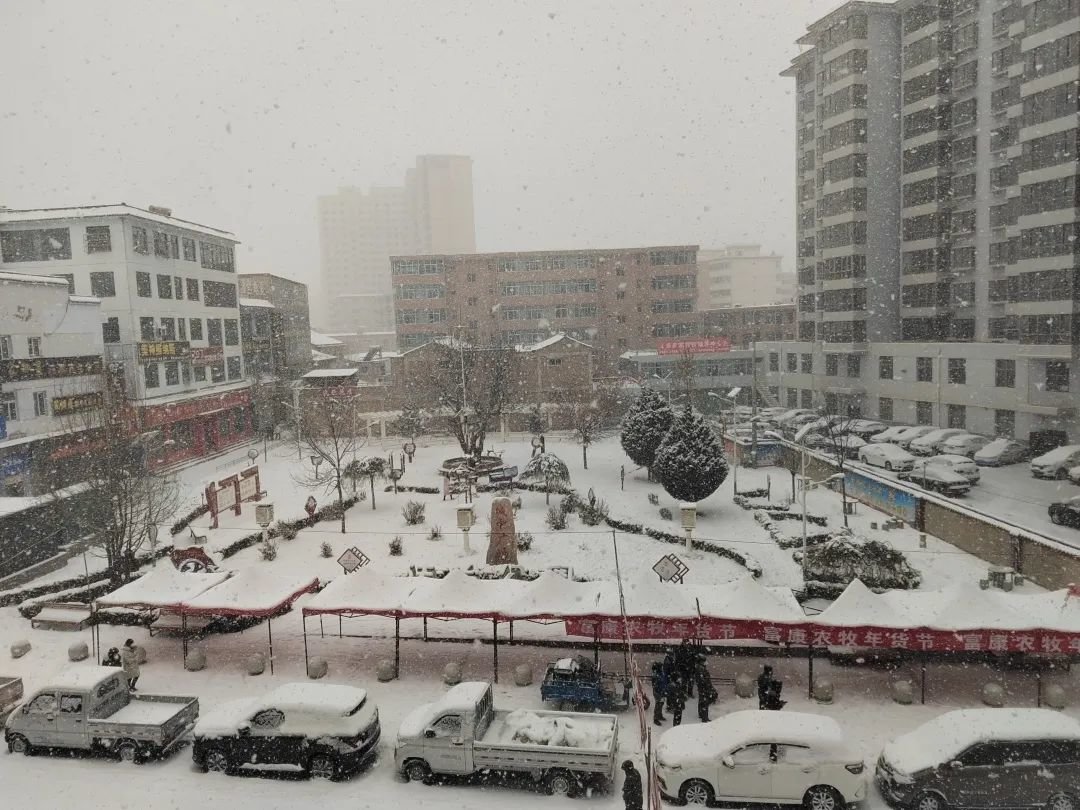 13日凌晨,康乐出现降雪天气。(图:李娟)