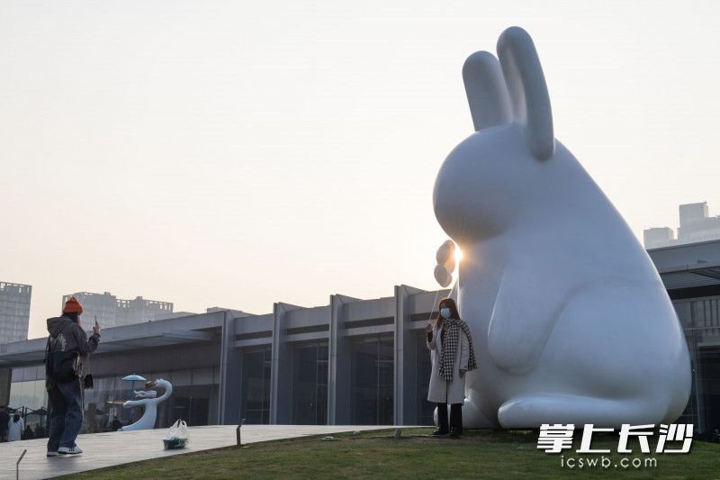 在长沙国金中心，由荷兰艺术家汤姆·克拉臣创作的坐着的兔子雕塑成为热门打卡点。