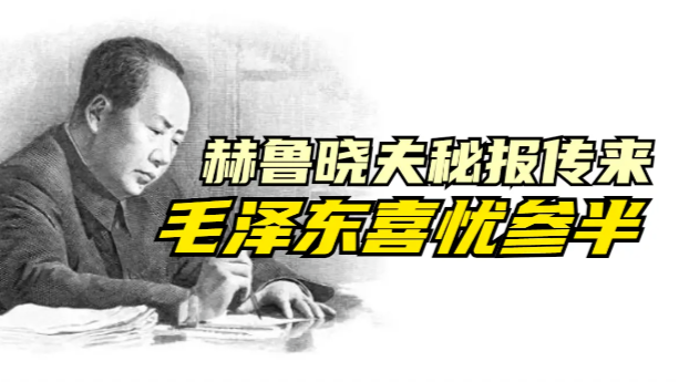 赫鲁晓夫秘密报告传到中国，毛泽东评价：苏共二十大揭了盖子，捅了篓子