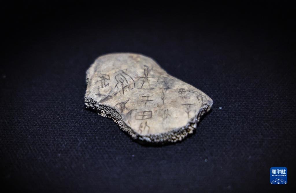 1月13日，“殷墟甲骨”专题展上的“甲骨2174”。左上为甲骨文“兔”。