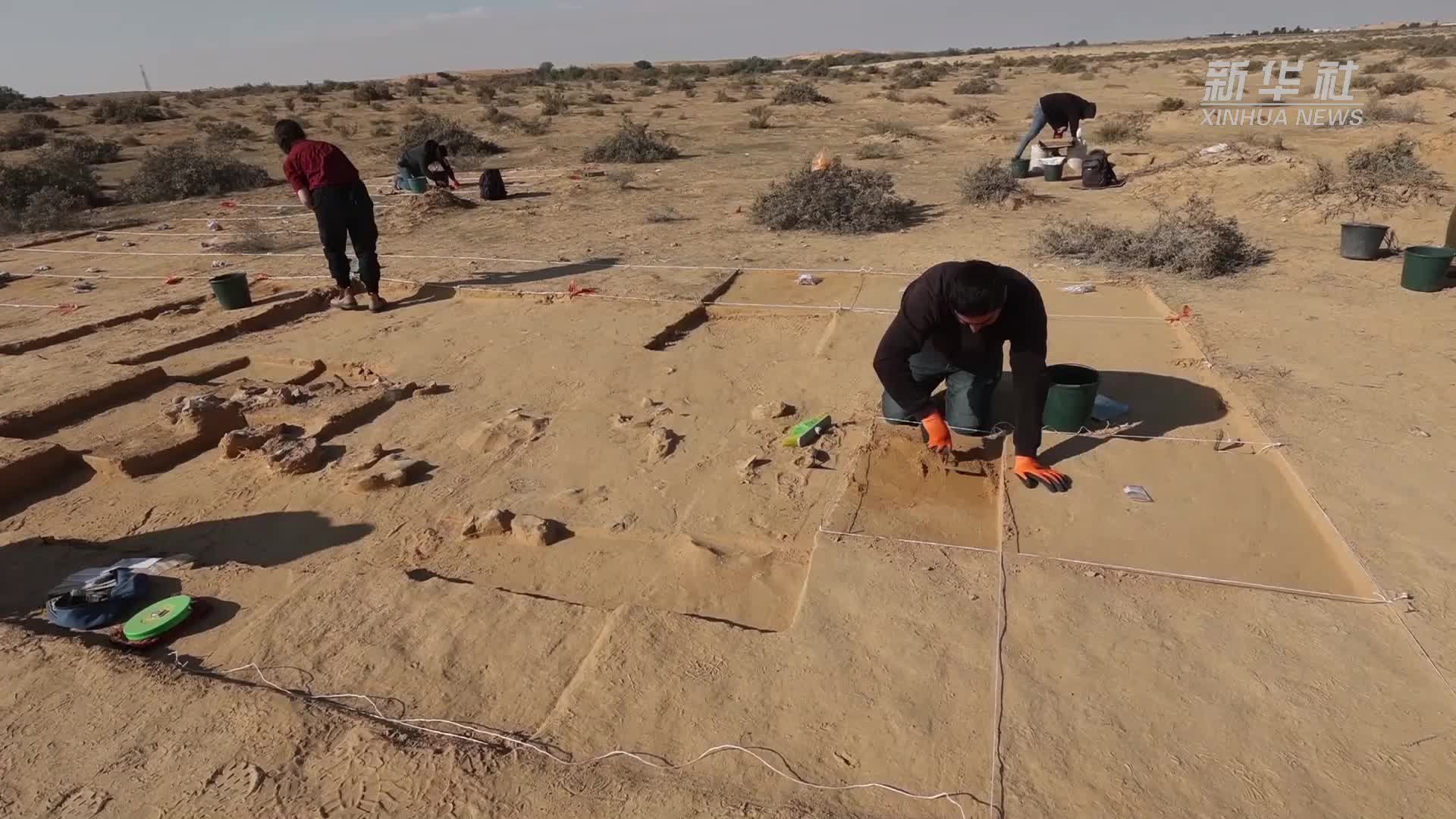 以色列发现4000年前鸵鸟蛋