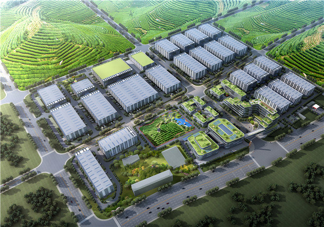 信阳国家农业科技园核心区建设项目  首栋茶叶加工厂厂房顺利完工