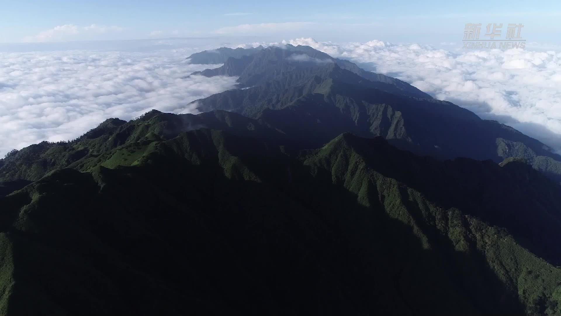 生态红线兑现绿色补偿：云南腾冲高黎贡山生态价值凸显