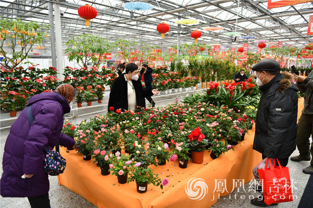 市民游客在展会上置办年货、购买花卉。凤凰网吉林 梁琪佳摄