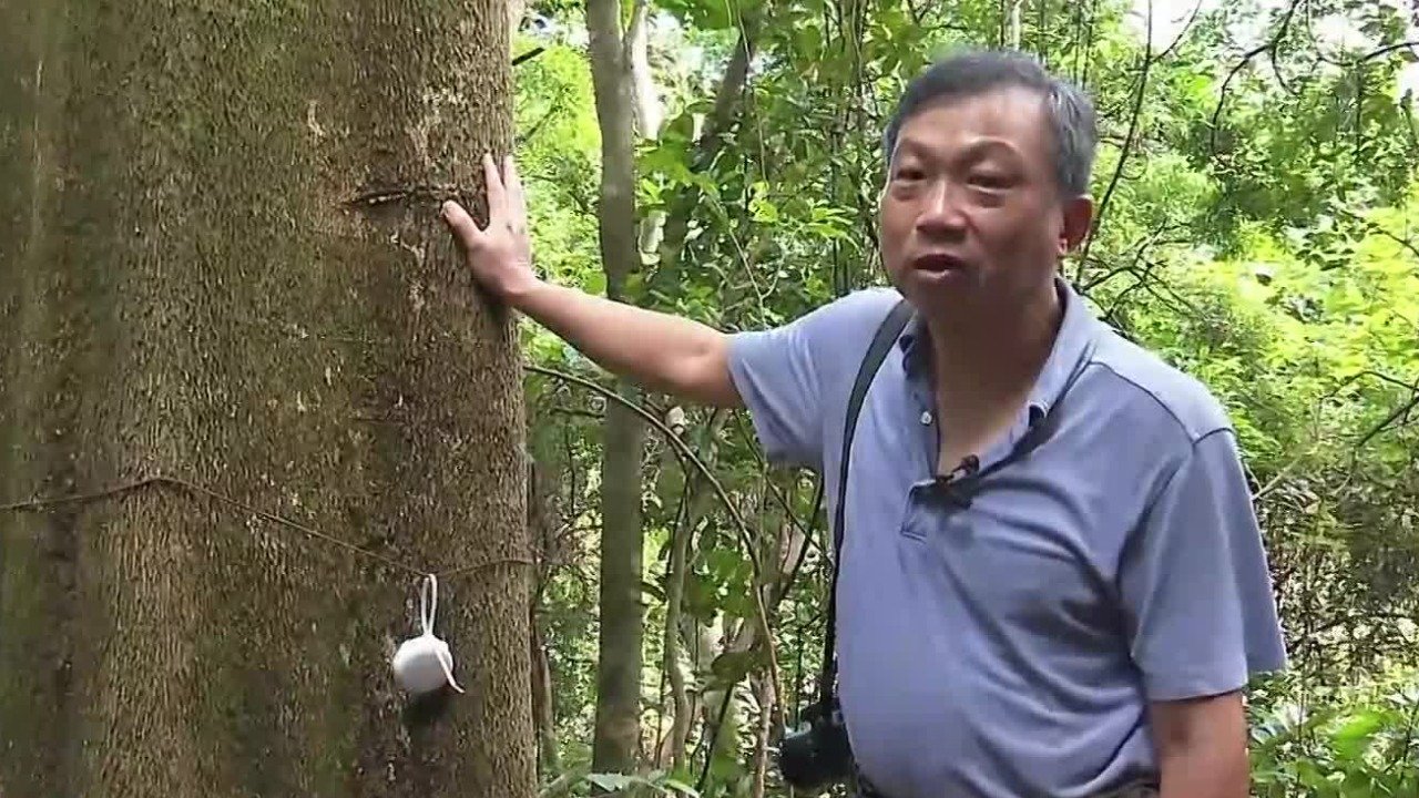 百年村落风水林保存较完整，利于稳定生态系统