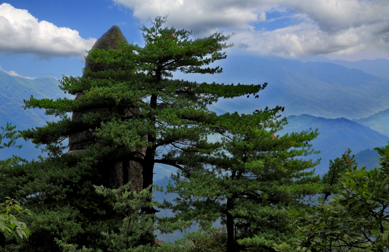 南山国家公园新宁舜皇山片区