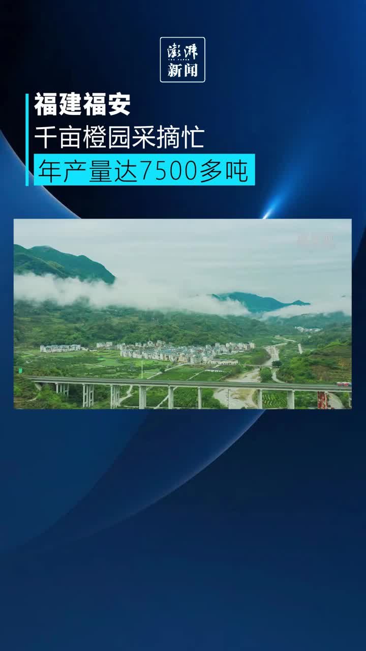 福建福安：喜收“黄金果”果农笑开颜