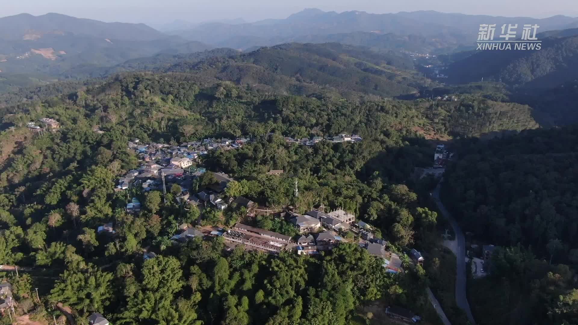 新春走基层｜云南基诺山寨里的迎春座谈会