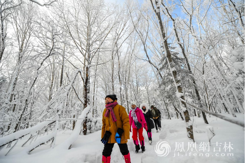 游客在延边老里克湖景区的冰雪森林里畅游。凤凰网吉林 梁琪佳 摄