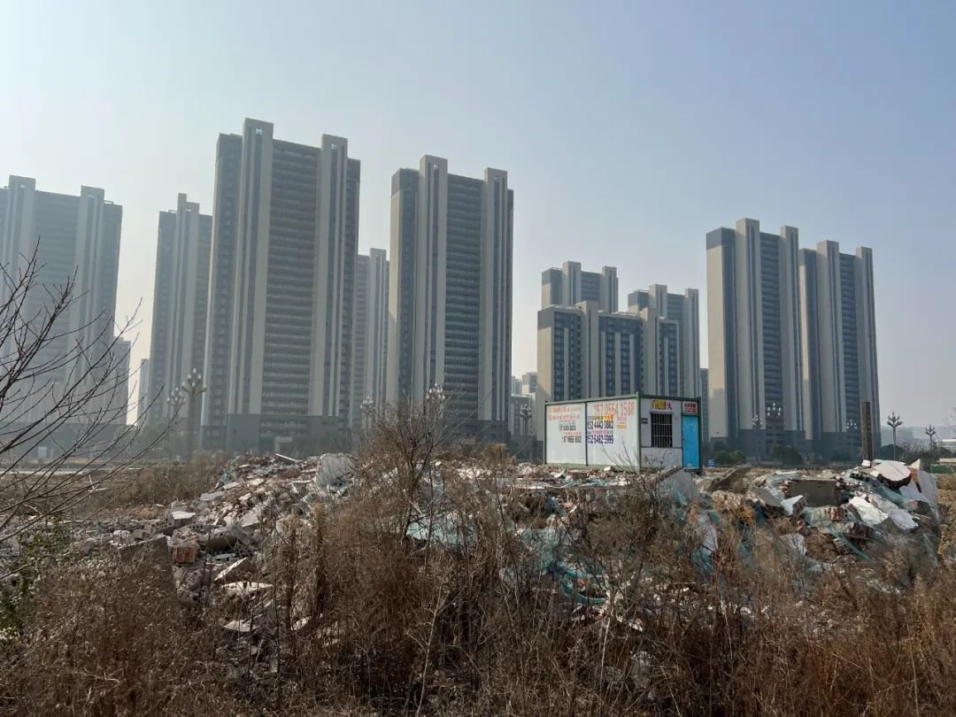 罗其刚等人的房屋已经被夷为平地,远方高楼为淮南碧桂园。张梦云 摄