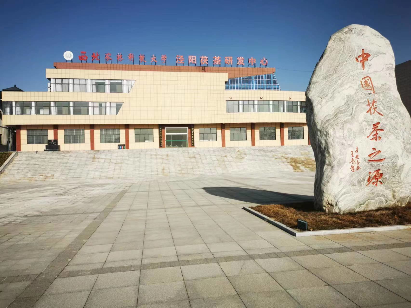 缝纫编织加工：织造多彩生活的艺术