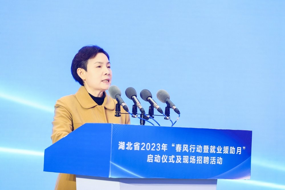 湖北省人社厅党组书记,厅长刘艳红现场致辞