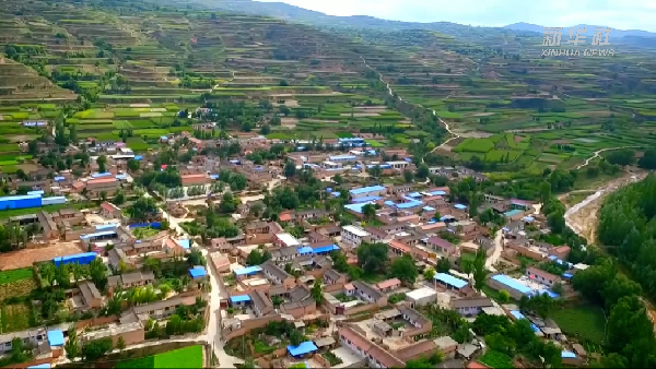 塔吊司机为"药"事返乡:先试水后带动 村里有"致富方"