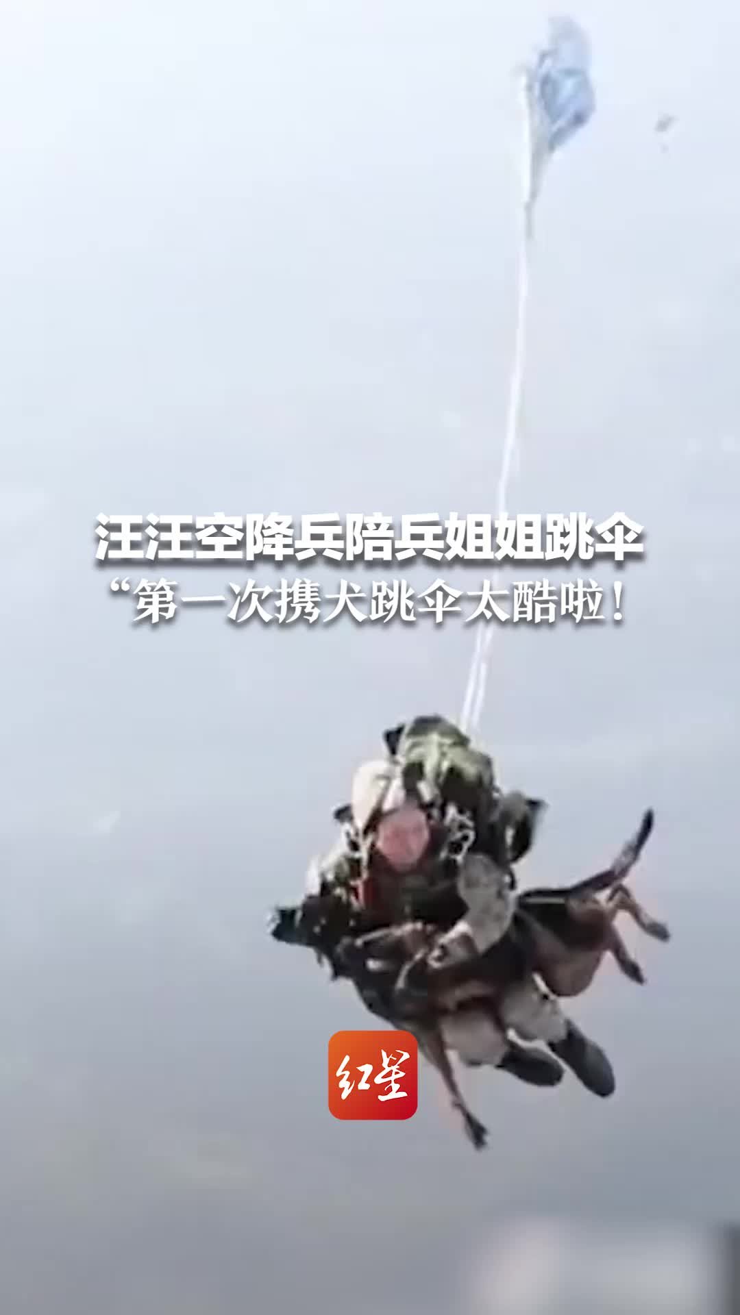 汪汪空降兵陪兵姐姐跳伞“第一次携犬跳伞太酷啦！”