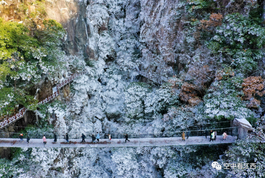 江西武功山：雪后初霁 云海翻涌（图）