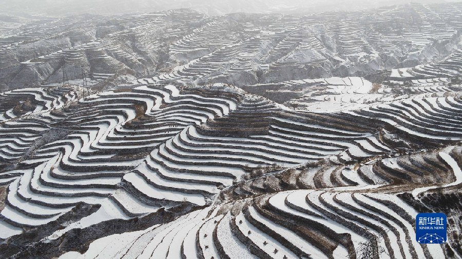 这是1月15日拍摄的甘肃省定西市安定区的梯田雪景（无人机照片） 新华社发（王克贤 摄）
