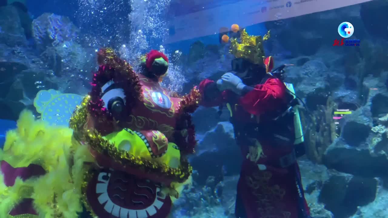 水中舞狮、“财神”拜年……吉隆坡水族馆举行贺新年活动