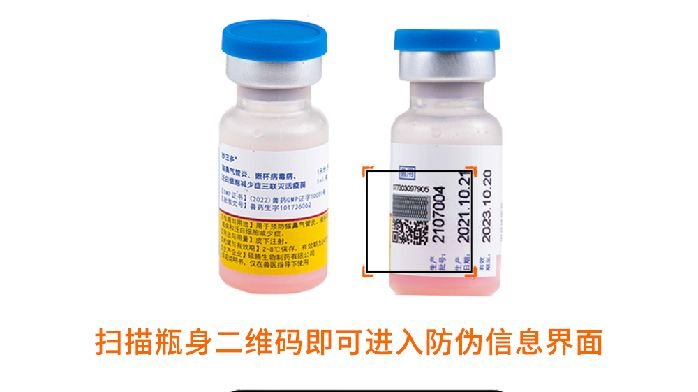 猫咪免疫不能少!硕腾国产妙三多®疫苗正式上市_凤凰网