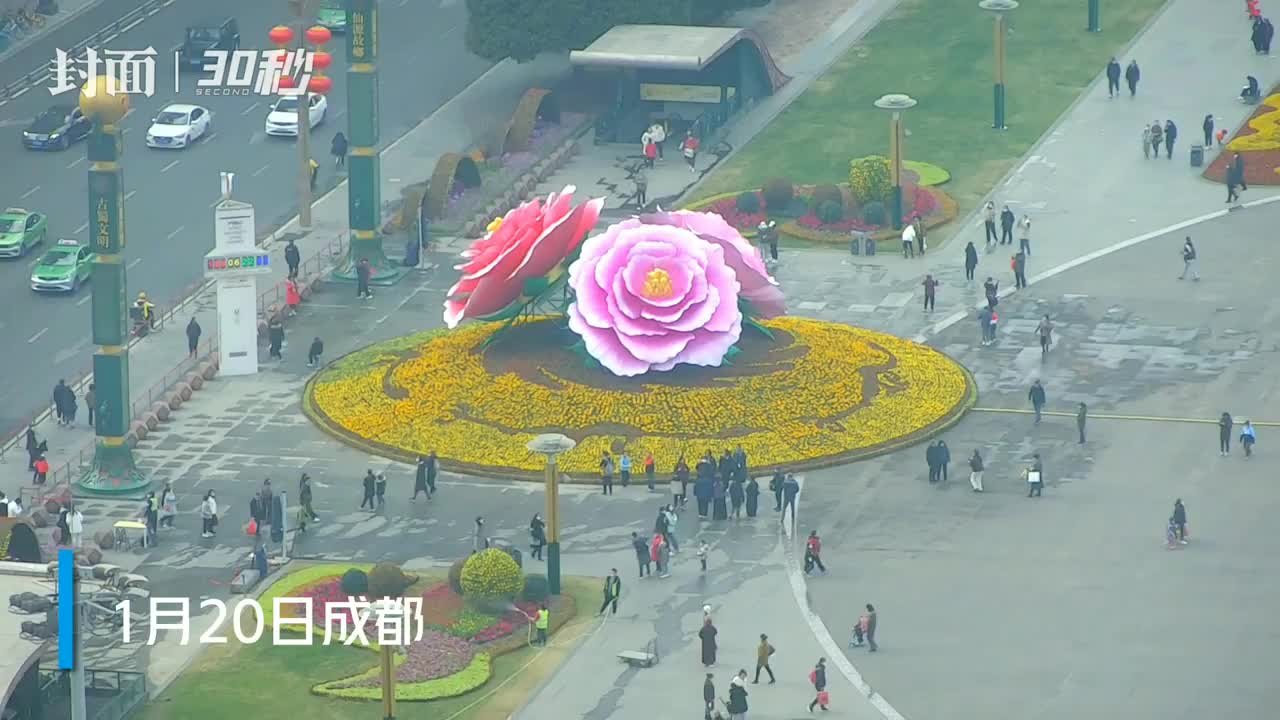 30秒｜“花开盛世”！成都天府广场芙蓉花迎春雕塑 等你春节去打卡