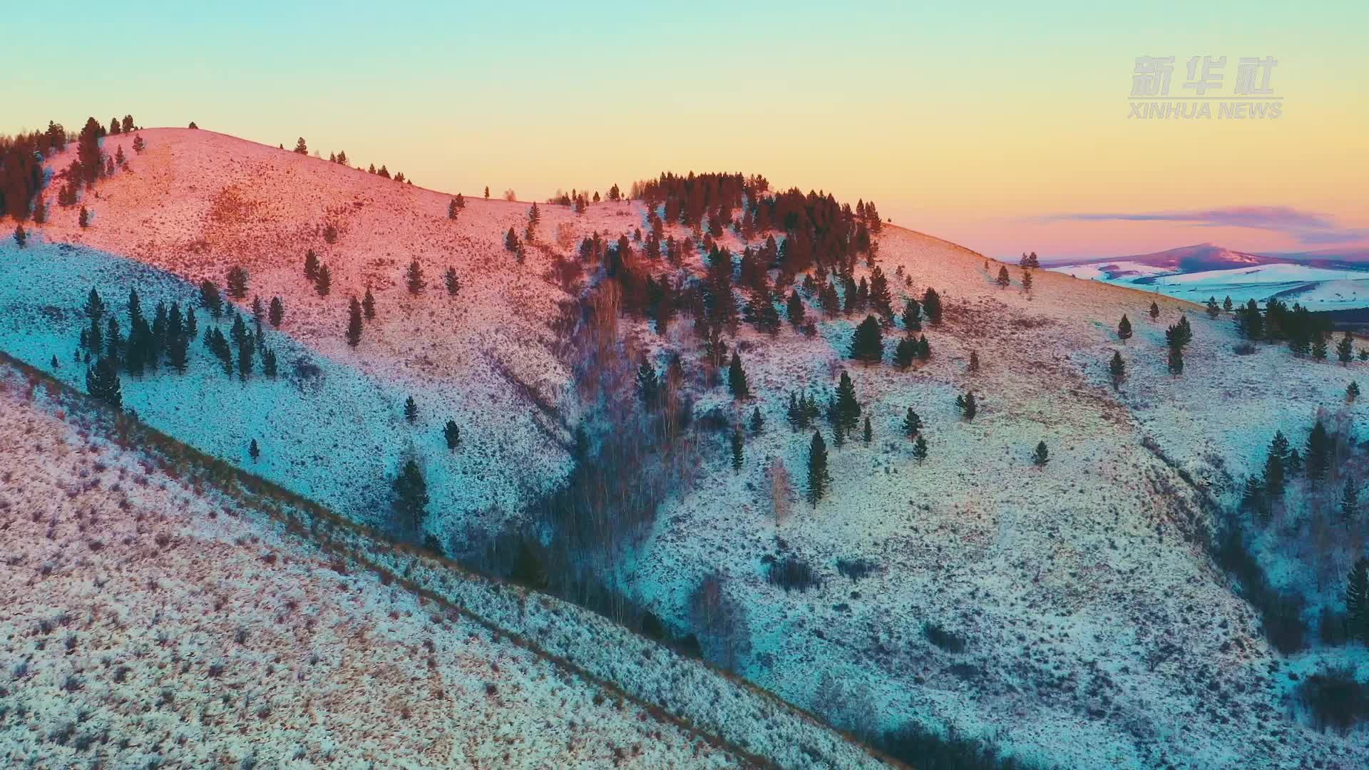 罕见白狍现身林海雪原,宛如雪中精灵_凤凰网视频_凤凰网
