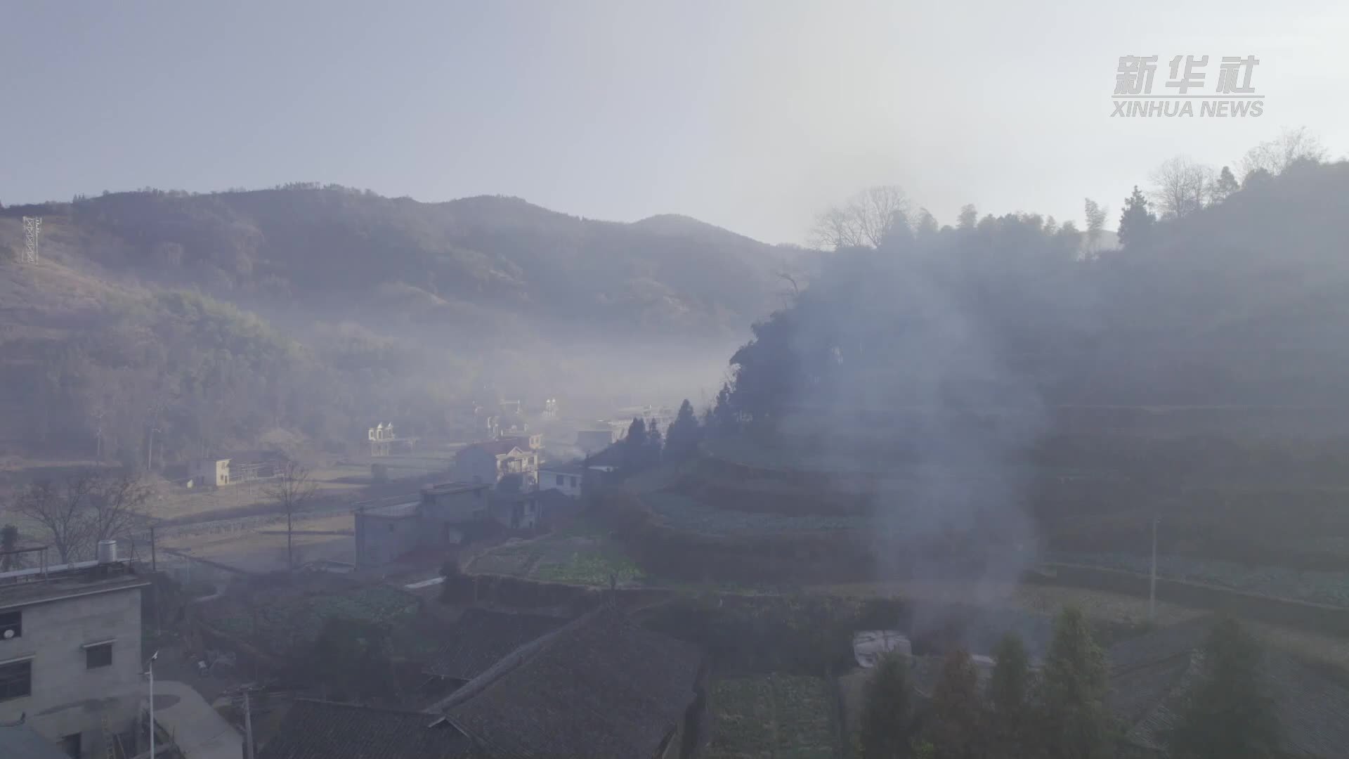 过年从吃“财头肉”开始