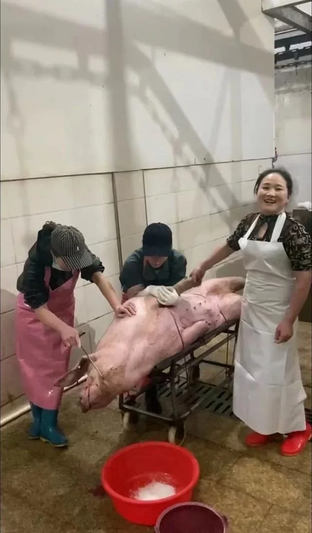 凤凰晚报|三艘航母硬核拜年;乌军32个旅困守巴赫穆特