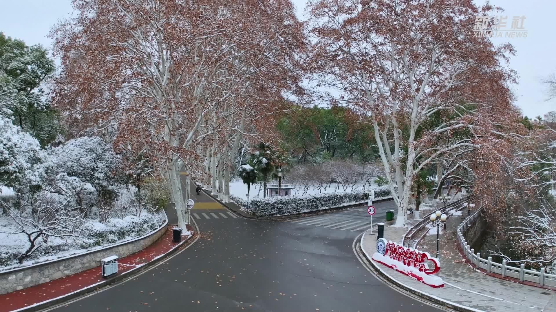 雪后珞珈，惊艳了这个冬天