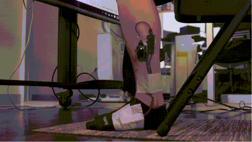 受试者被要求累积抖腿 270 分钟(4.5 小时),休息间隔不超过 4 分钟。虽然时间很长,但并没有出现疲劳、不适、抽筋、肌肉酸痛等不良反应。图片来源:giphy.com