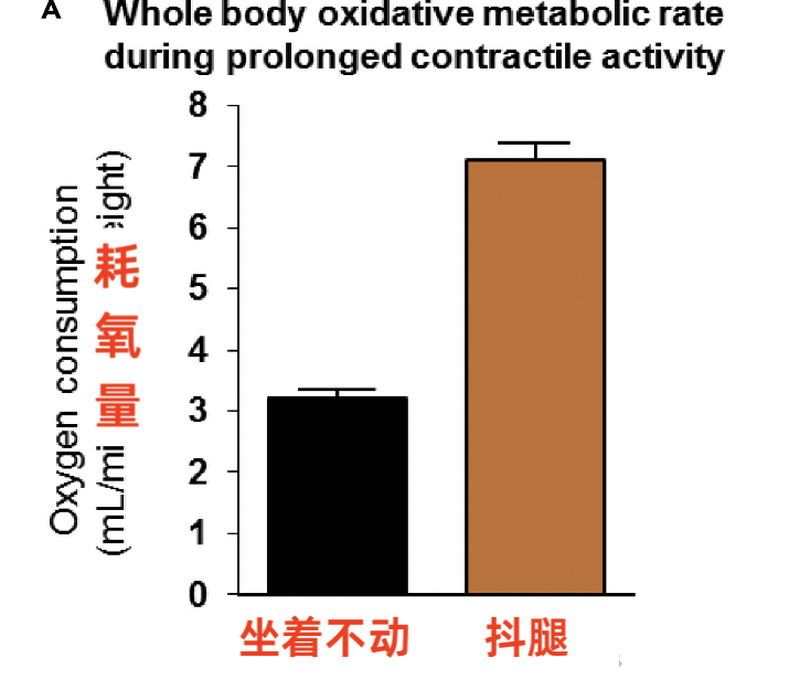 图片来源:参考文献 2