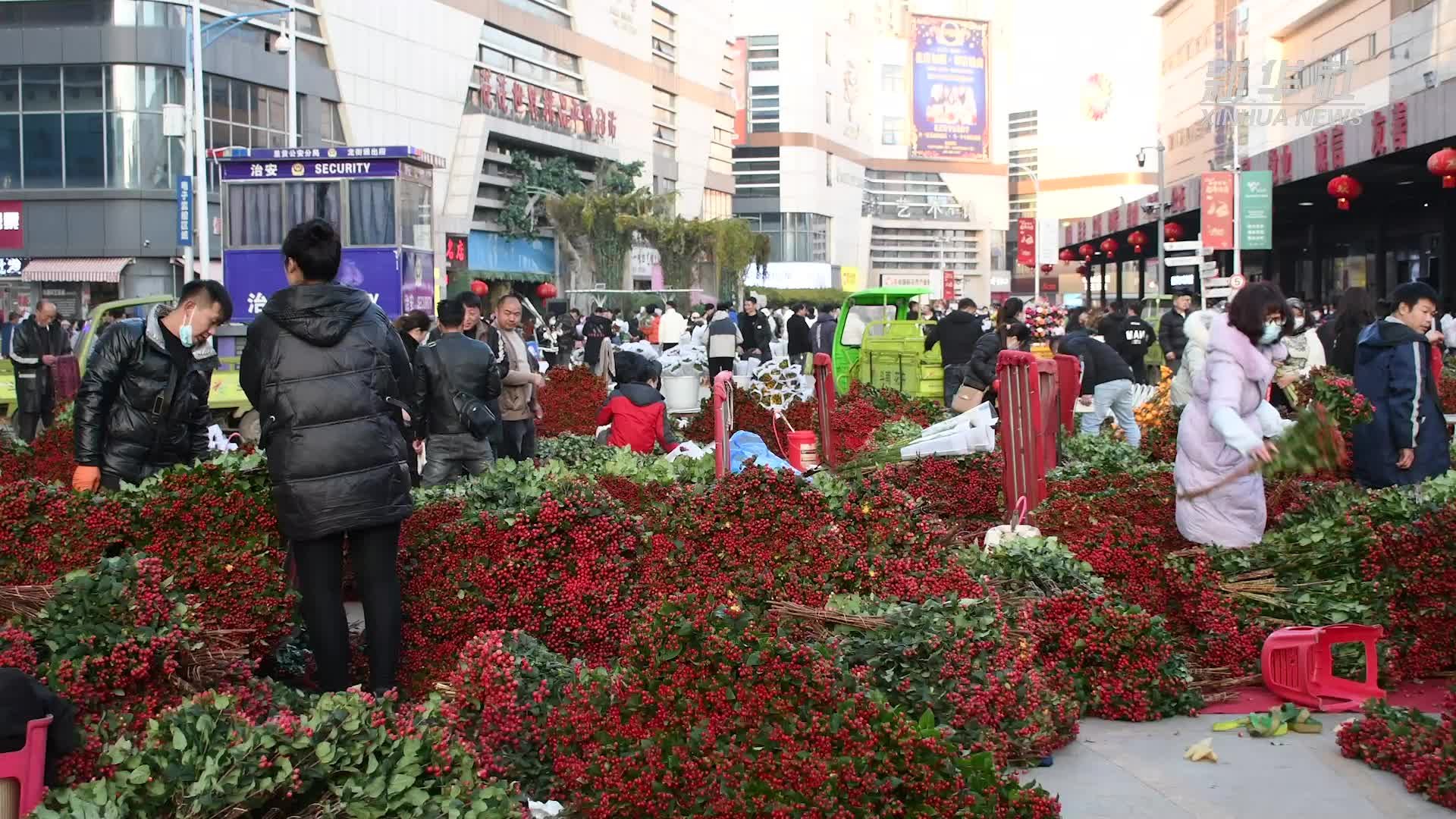 昆明：年宵花供销两旺 物流助力鲜花鲜达