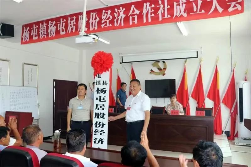 激发农村经济新活力，沛县这项工作获国家级表彰！