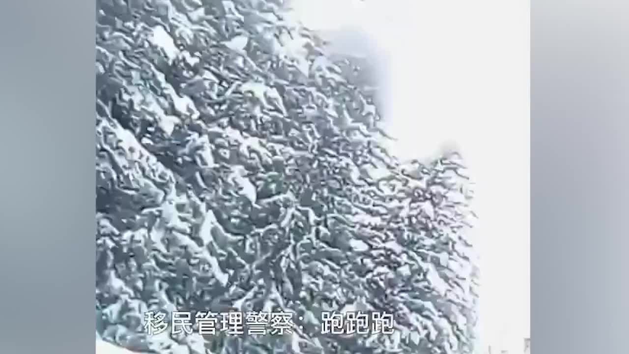 滑雪爱好者寻雪板遇雪崩，民警挖雪10分钟营救