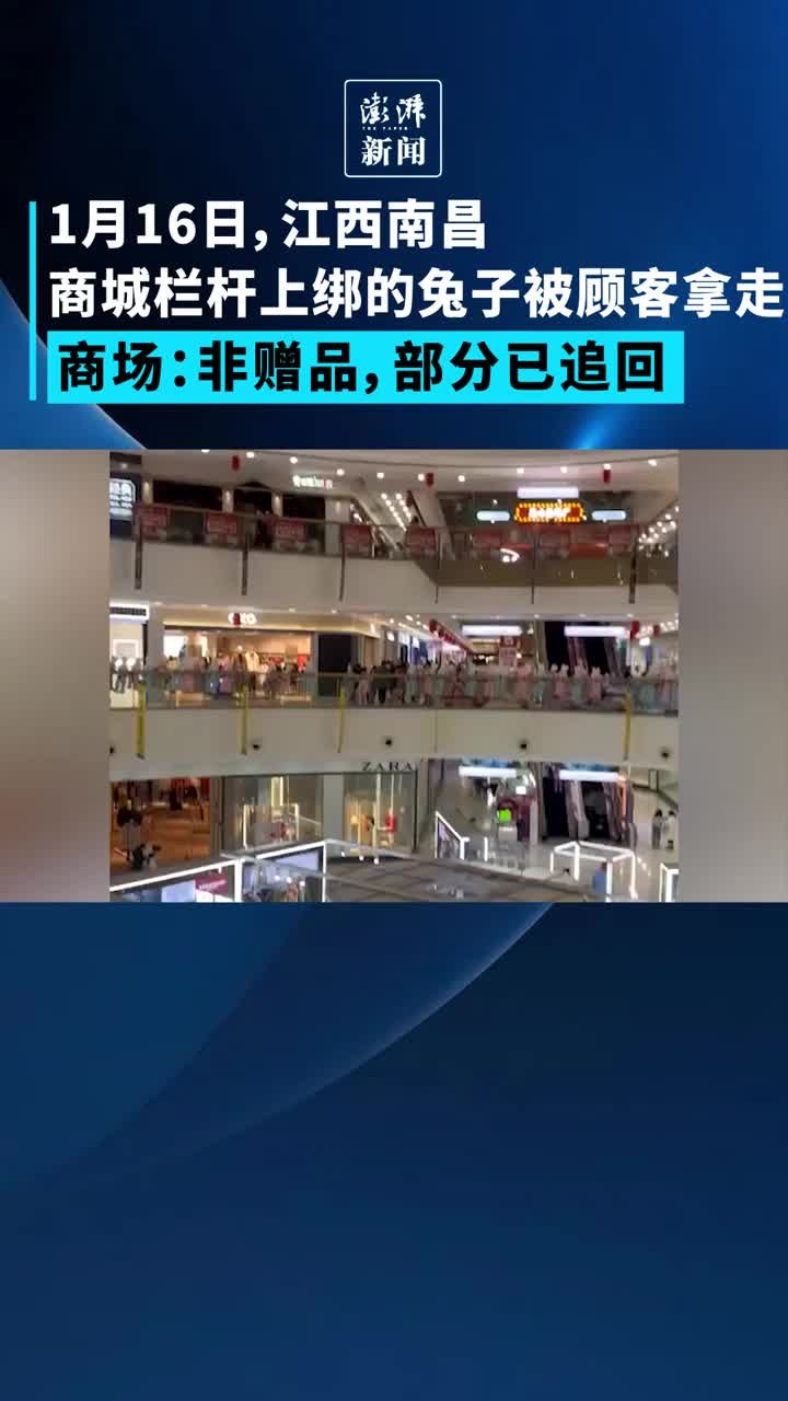 商城栏杆上绑的兔子被顾客拿走，商场：非赠品