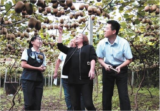 深入推广“智慧崮山”数字乡村项目，支持乡村特色产业发展