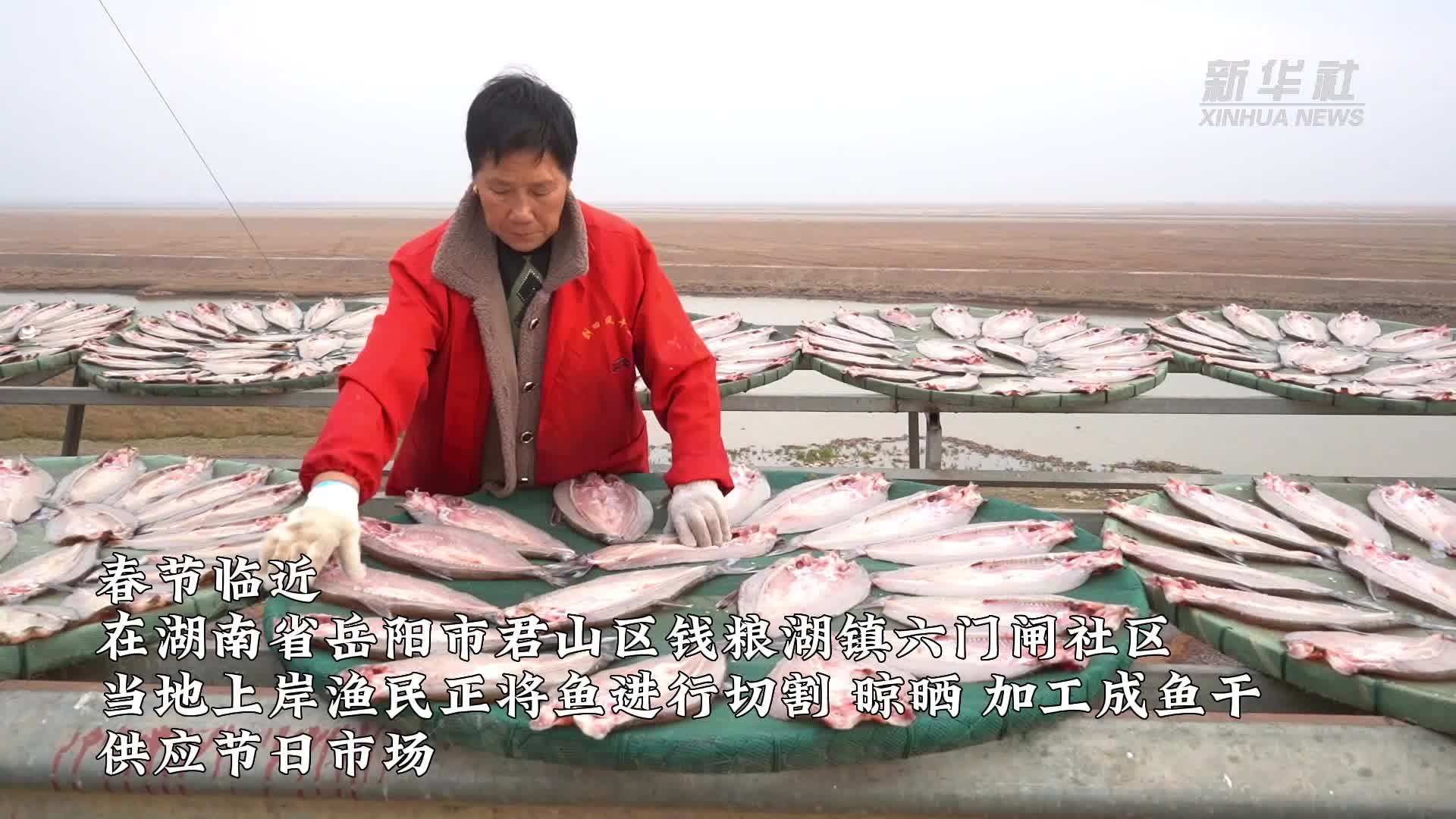 湖南岳阳：特色风干鱼助力上岸渔民转产增收