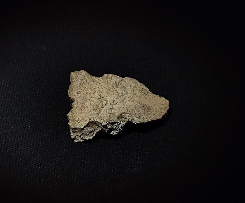 甲骨5708 商帝乙帝辛时期，这是一件较为罕见的人头骨。