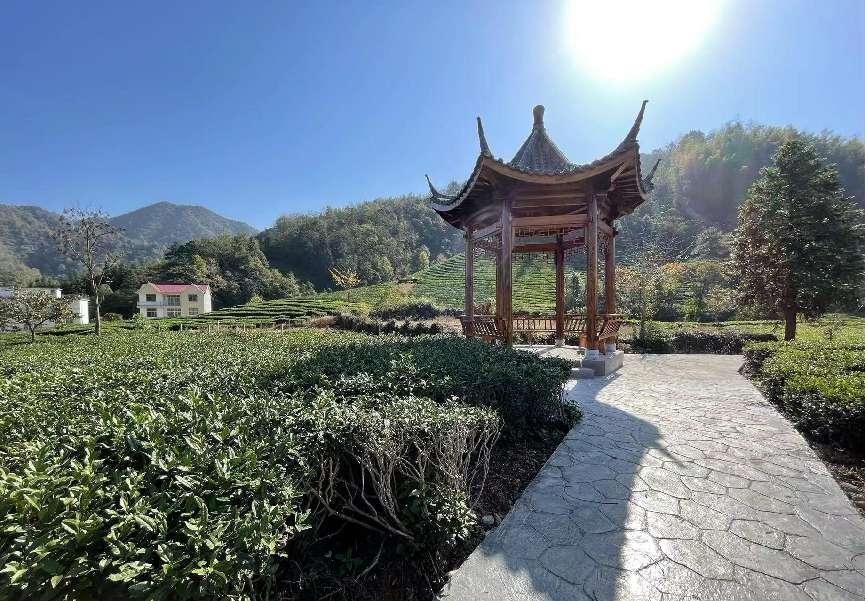 安徽东至县葛公镇:乡村振兴亮底色 人居环境展新颜凤凰网安徽_凤凰网