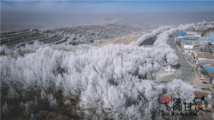 从空中俯瞰雾凇景观，白色晶莹美如画。