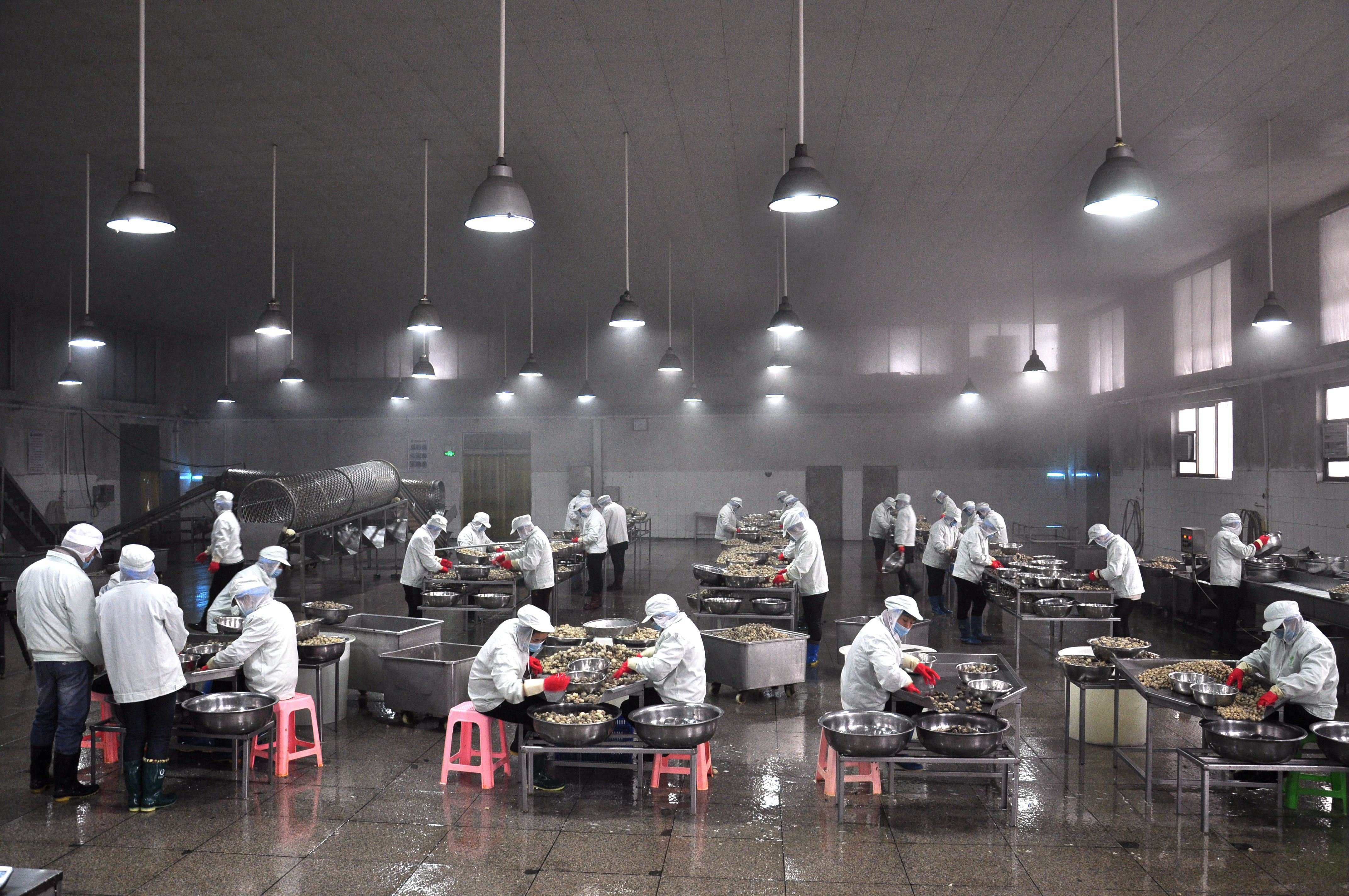 夏邑：发展高效农业 助推乡村振兴