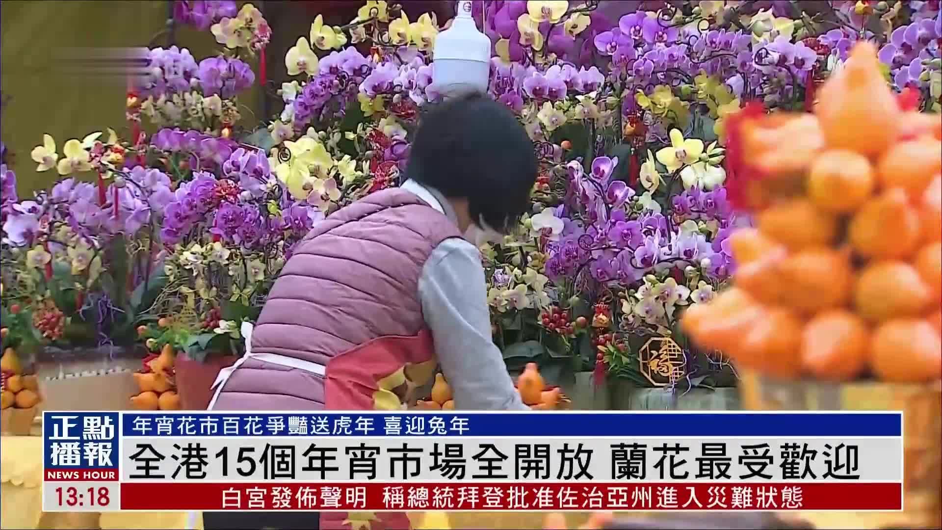 香港15个年宵市场全开放 兰花最受欢迎