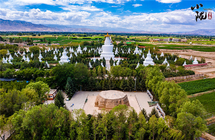 个个谈“兔”不凡 听听甘肃代表委员“新”声