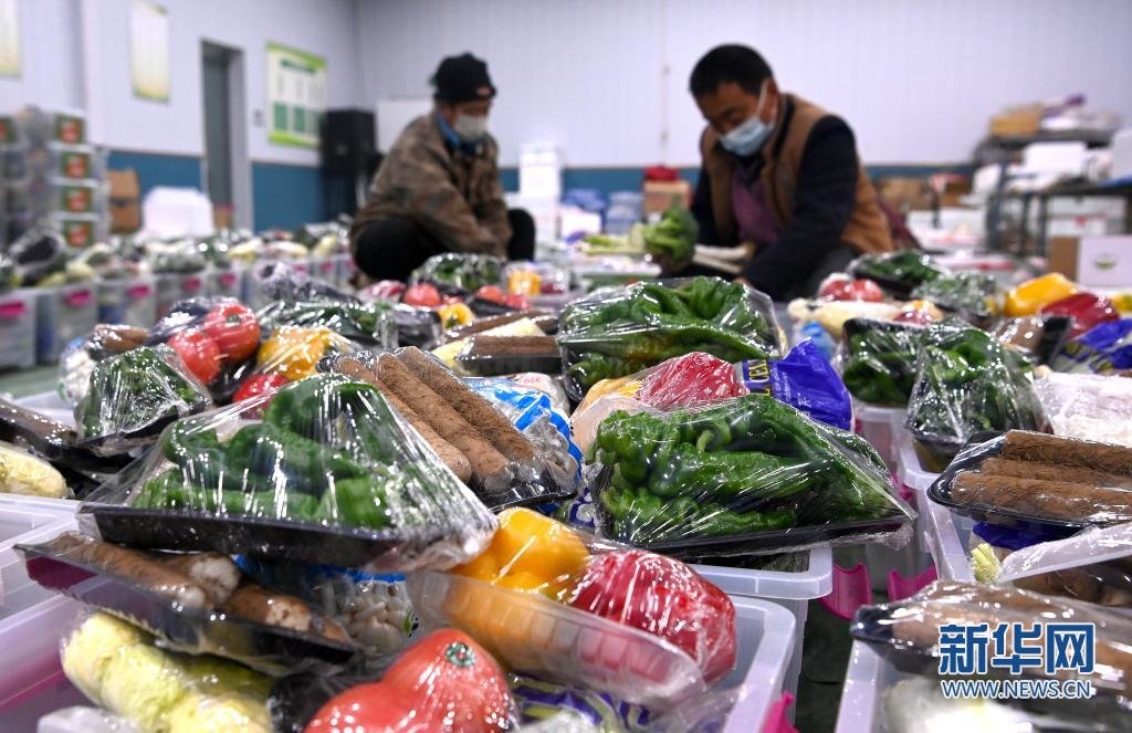 1月13日，西安市阎良区国强现代农业园区内，工人在包装净菜供市场。